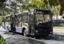 Movimento Petrópolis 2030 cobra solução definitiva para crise do transporte